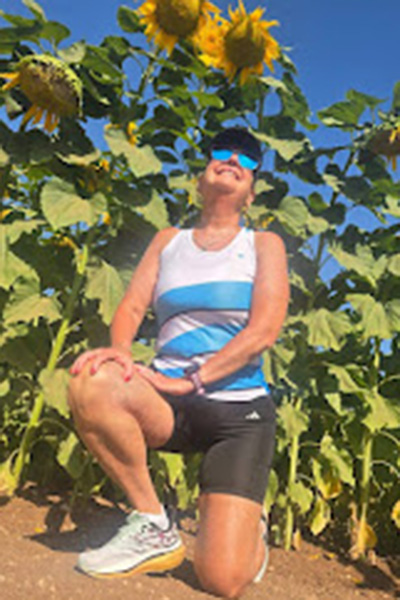 קולקציית הצבעים של HBR